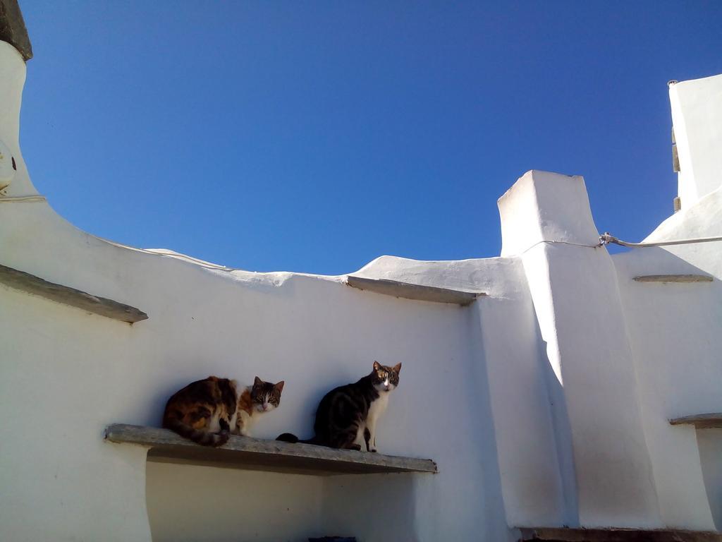 Balcony To The Aegean Villa Steni ภายนอก รูปภาพ
