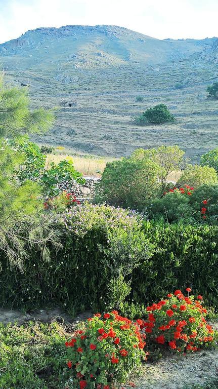 Balcony To The Aegean Villa Steni ภายนอก รูปภาพ